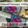 Sildenafil Kamagra 100Mg 14